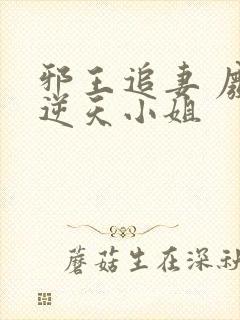 邪王追妻 废材逆天小姐