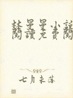 林曼曼小说全文阅读免费阅读全文