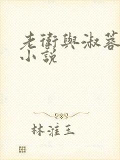 老卫与淑蓉唐伍小说封面