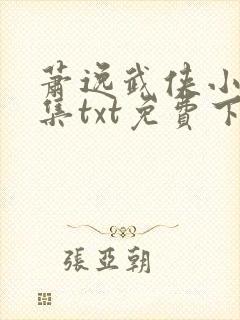 萧逸武侠小说全集txt免费下载