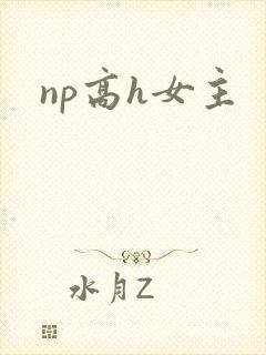 np高h女主