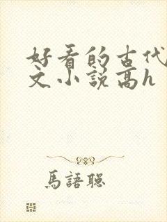 好看的古代调教文小说高h