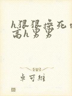 h狠狠操死你h高h男男