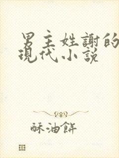 男主姓谢的总裁现代小说