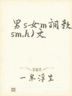 男s女m调教(sm,h)文