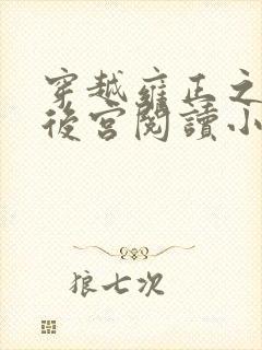 穿越雍正之极品后宫阅读小说