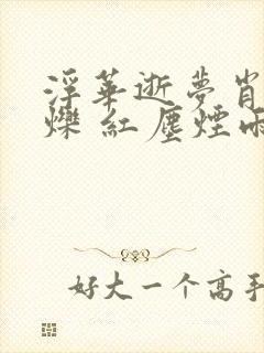 浮华逝梦肖艾杨烁 红尘烟雨