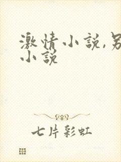 激情小说,另类小说