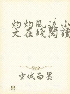 灼灼风流小说全文在线阅读