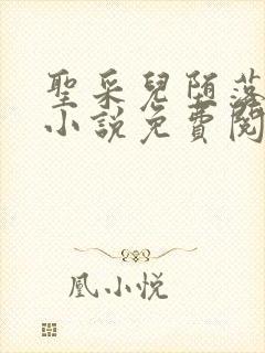 圣采儿堕落浮殇小说免费阅读封面