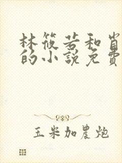 林筱若和肖楚北的小说免费阅读