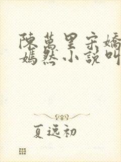 陈万里宋娇娇唐嫣然小说叫什么名字