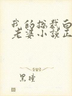 我的总裁白富美老婆小说正版