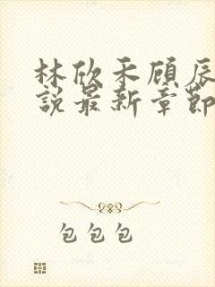 林欣禾顾辰昀小说最新章节免费阅读