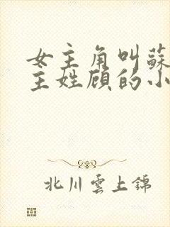 女主角叫苏禾男主姓顾的小说