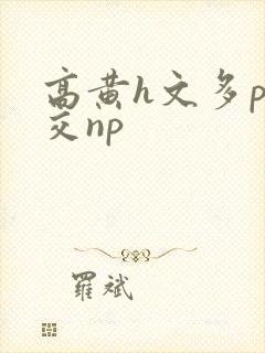 高黄h文多p混交np