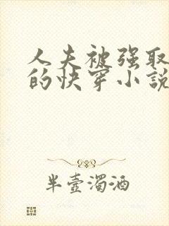 人夫被强取豪夺的快穿小说