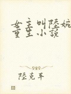 女主叫陆婉婉的重生小说