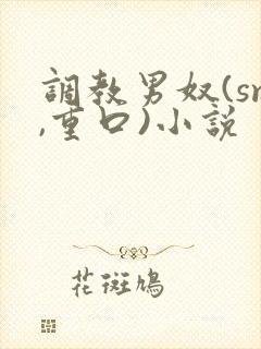 调教男奴(sm,重口)小说