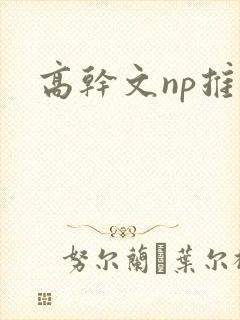 高干文np推荐封面
