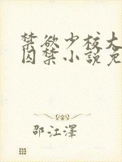 禁欲少校大哥的囚禁小说免费阅读封面