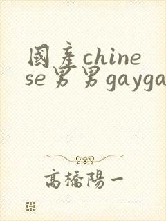 国产chinese男男gaygay免费观看