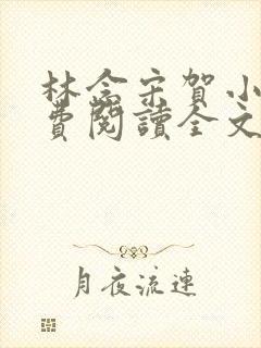 林念宋贺小说免费阅读全文最新章节列表