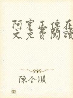 阿宾正传在线全文免费阅读无删减