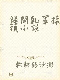 解开乳罩揉吮奶头小说