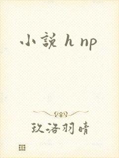 小说 h np