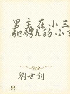 男主在小三身上驰骋h的小说封面