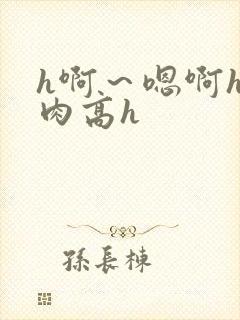 h啊～嗯啊h巨肉高h