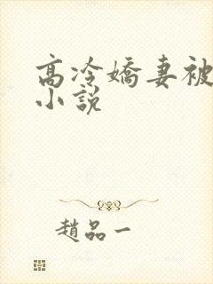 高冷娇妻被人操小说