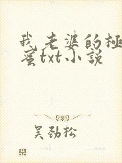 我老婆的极品闺蜜txt小说封面