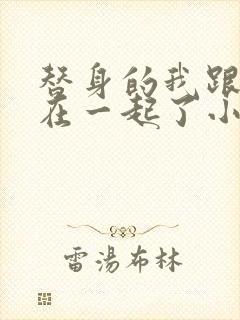 替身的我跟正主在一起了小说封面