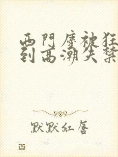 西门庆被狂c躁到高潮失禁小说