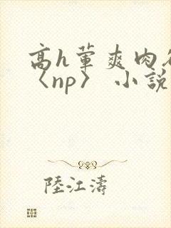 高h荤爽肉欲文〈np〉 小说