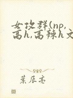 女攻群(np,高h,高辣h文)