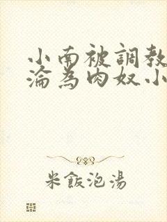 小南被调教喷水沦为肉奴小说封面