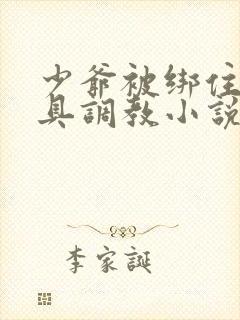 少爷被绑住用刑具调教小说