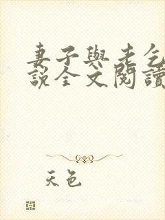 妻子与老乞丐小说全文阅读