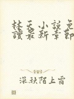 林天小说免费阅读最新章节