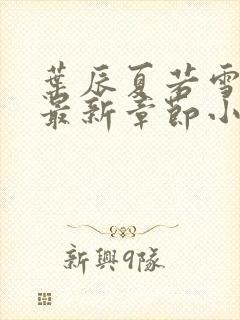 叶辰夏若雪孙怡最新章节小说下载