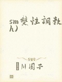 sm双性调教(h)