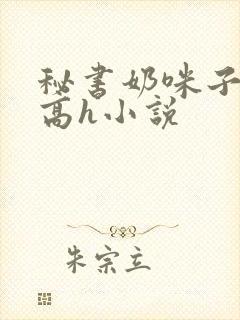 秘书奶咪子真大高h小说