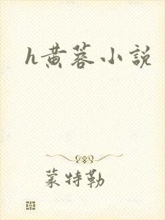 h黄蓉小说封面