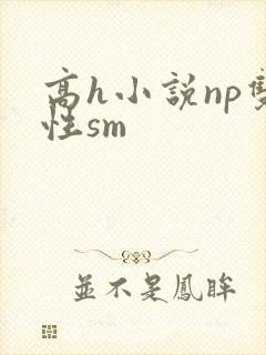 高h小说np双性sm