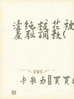 清纯校花被民工羞耻调教(封面