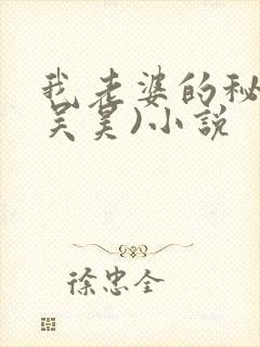 我老婆的秘密(吴昊)小说
