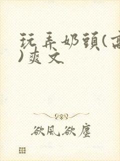 玩弄奶头(高h)爽文